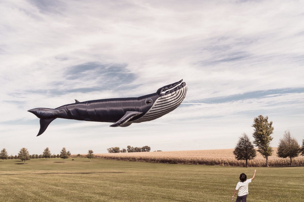 Boy flying a whale-shaped balloon